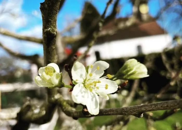 Dreher Hof Apartamento